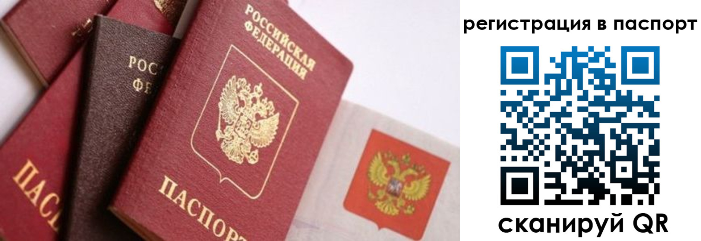 прописка в квартире в Дубне